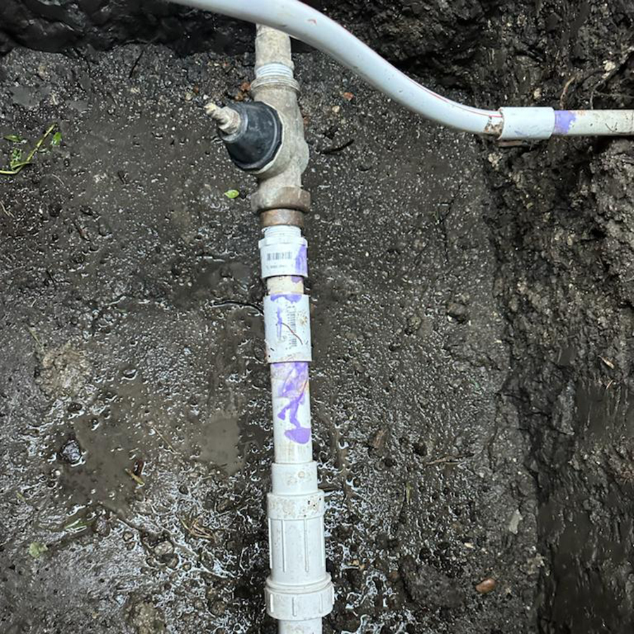 Antes, valve replacement (3)