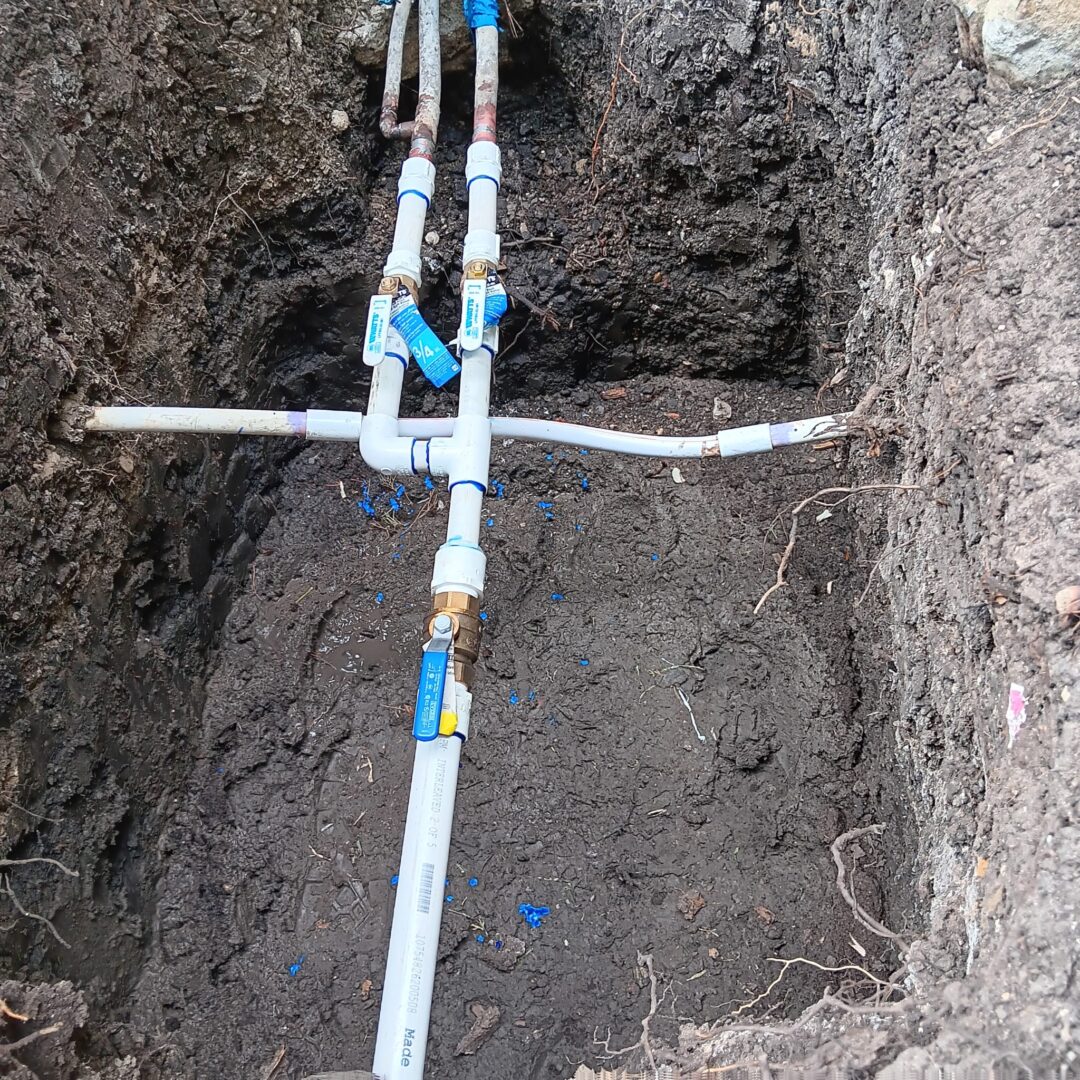 Despues, valve replacement (1)