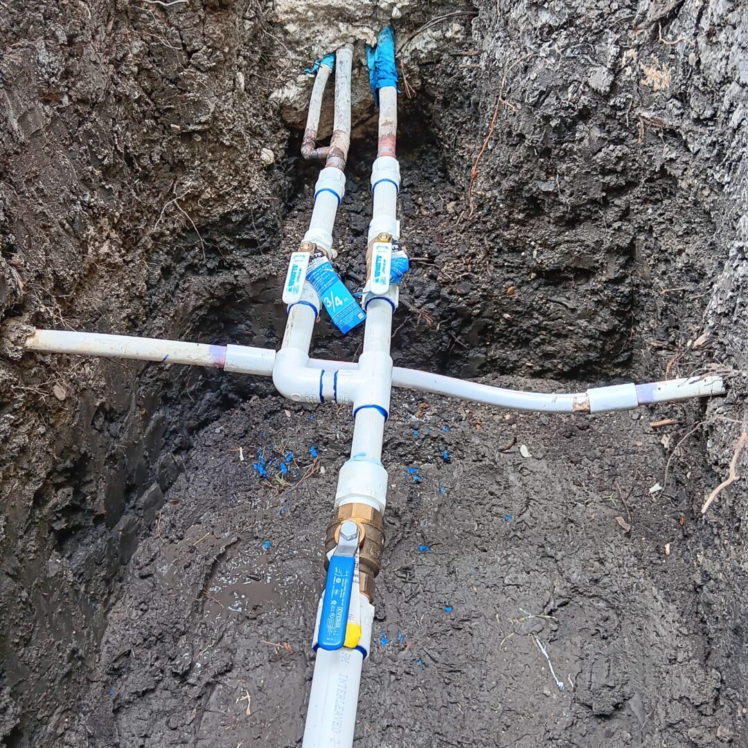 Despues, valve replacement (2)