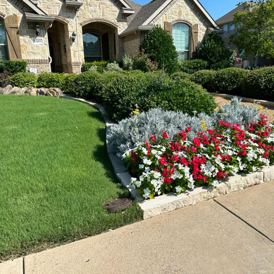 Flowerbed-(6)