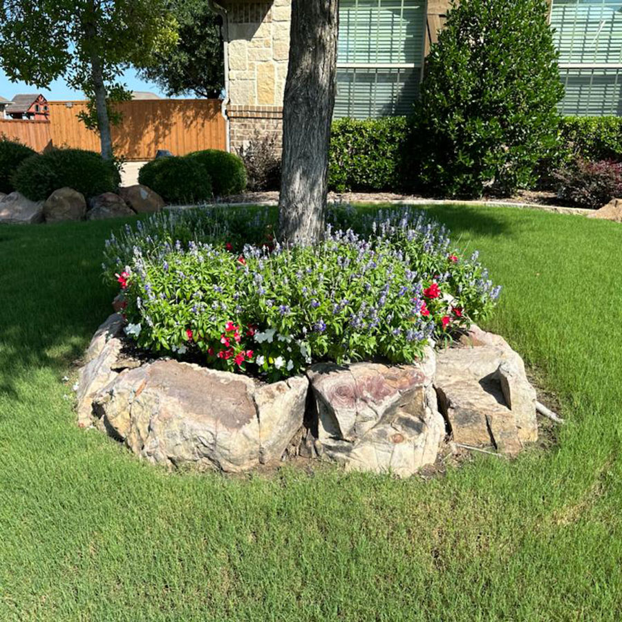 Flowerbed-(7)