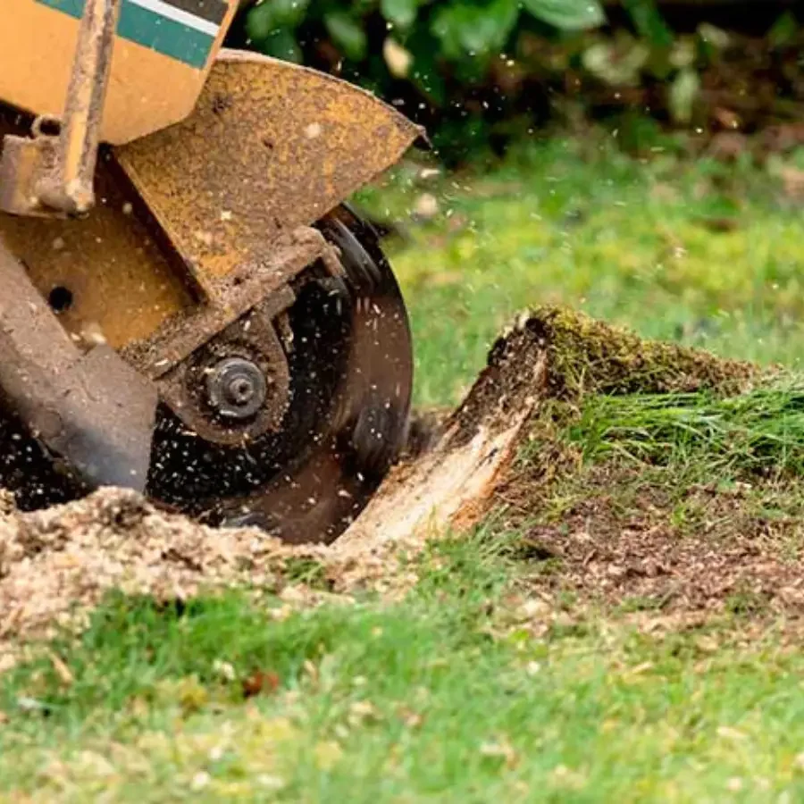 Backyard landscaping Rowlett TX – Ferrus Landscape
